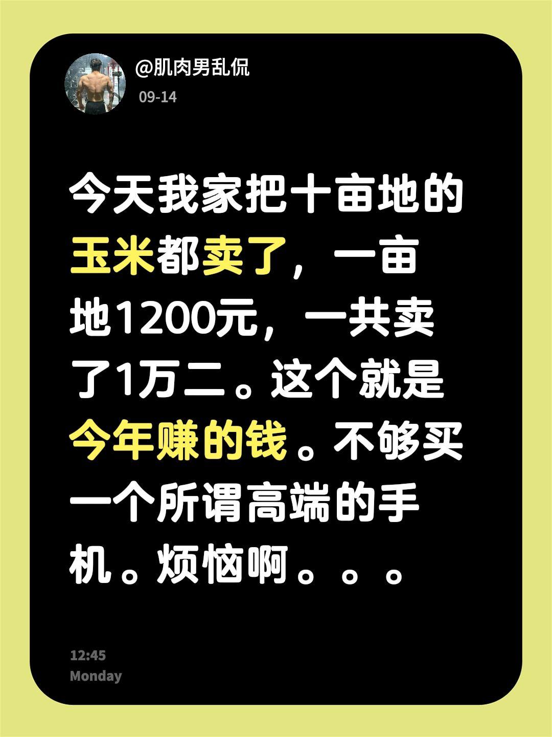 今天我家把十亩地的玉米都卖了，一亩地1200元，一共卖了1万二。这个就是今年赚的