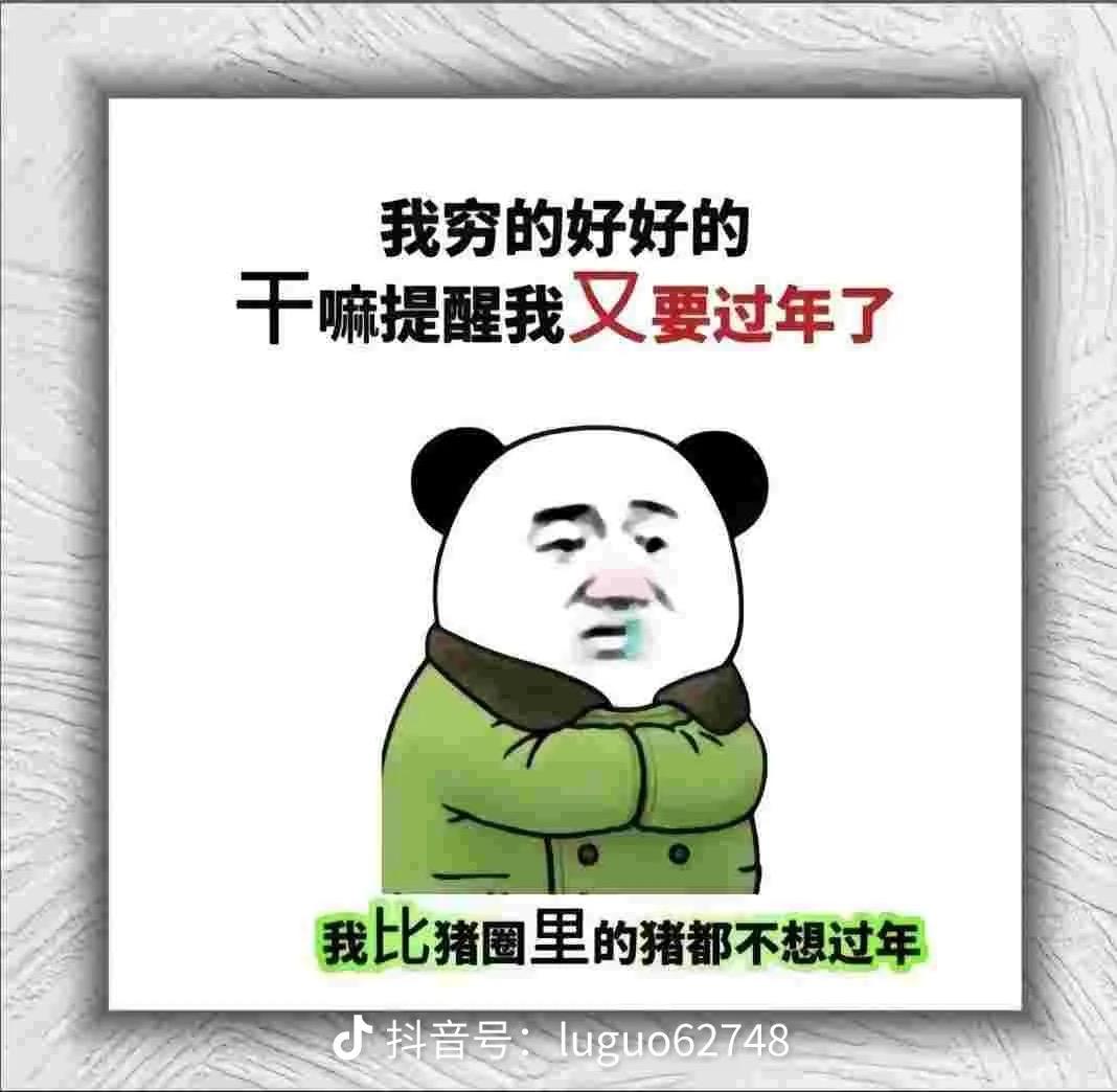 “穷得连过年都嫌麻烦，比猪圈里的猪还惨”😂🐷💰穷並不是坏事 穷日子都不可怕