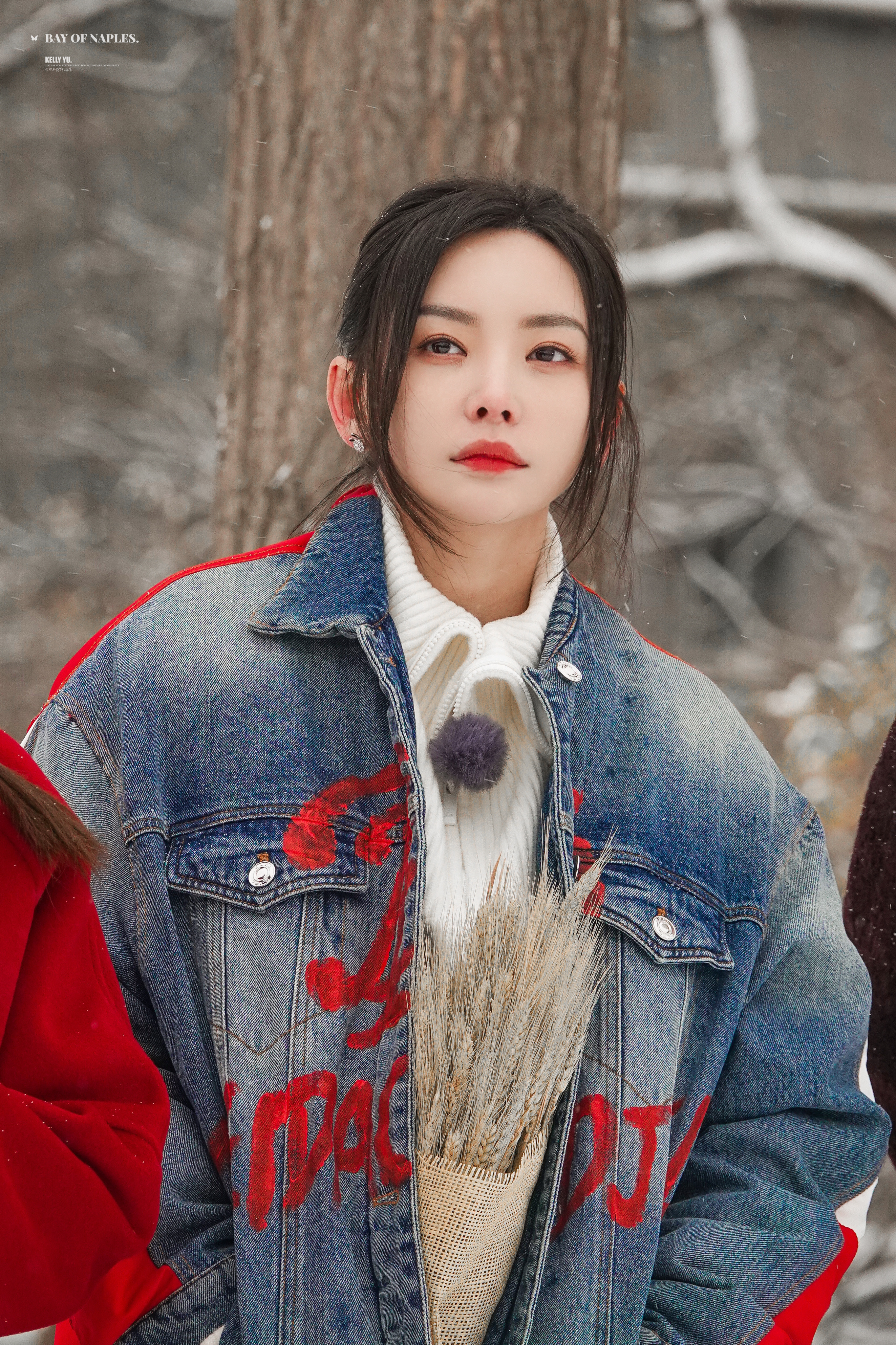 #于文文胡彦斌自带初雪BGM##最美中轴线切换北京雪景模式# 此时，脑海里已经出