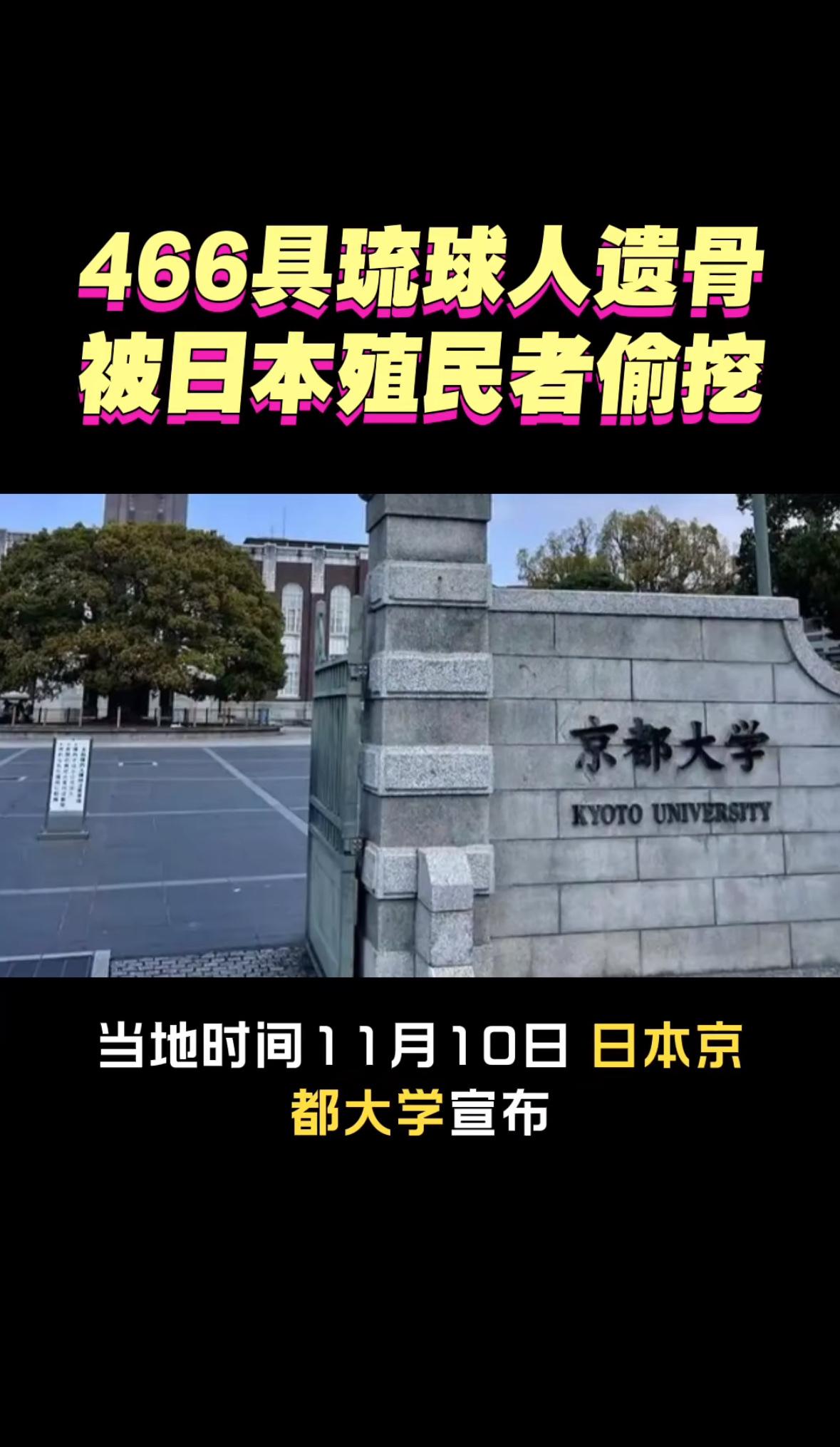 “这不仅是骨头，是我们被偷走的历史！”当京都大学一纸公告承认实验室藏着466具琉