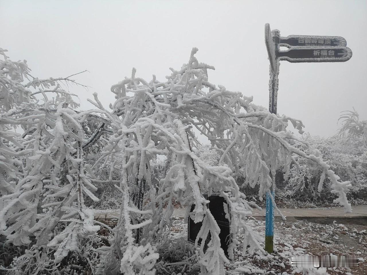 2026年的第一场雪，今天下午，已经多地下起了雪。
元月22日(今天)下午，赣州
