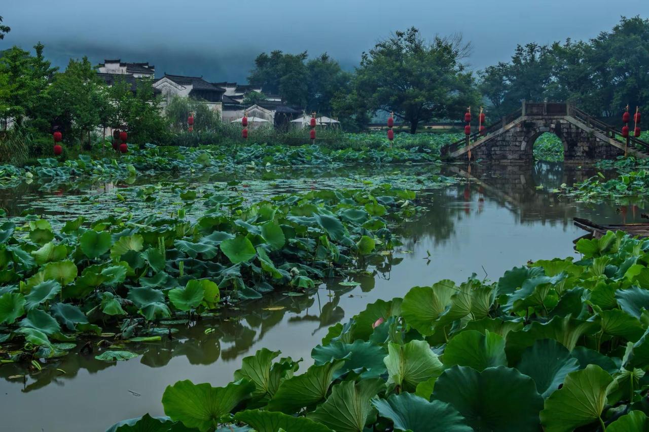 黄山呈坎八卦村。黄山呈坎八卦村江南水乡里的诗情画意 荷塘诗意 山水诗画江南 我拍