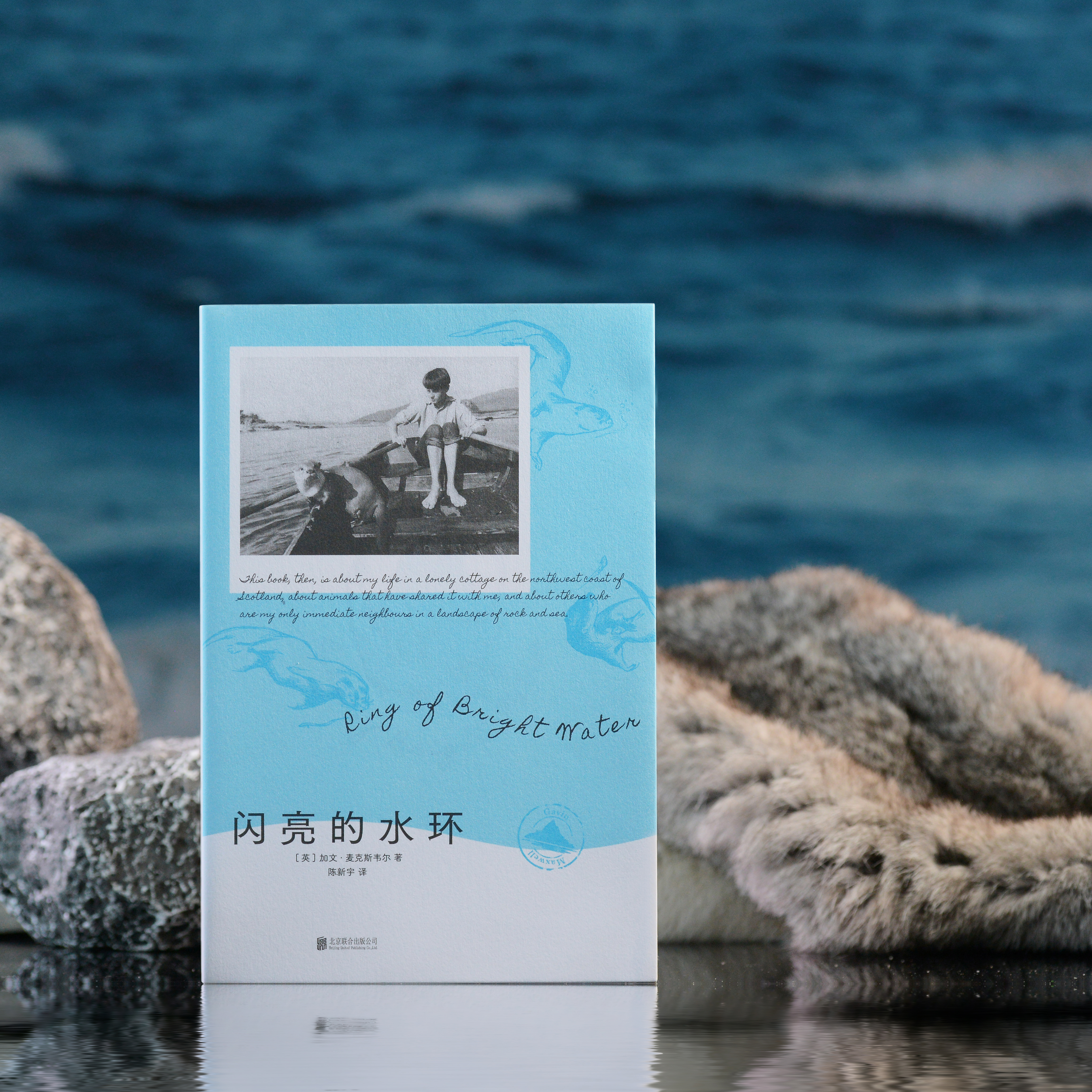 【转发赠书】《闪亮的水环》🌊 苏格兰西高地荒野小屋十年幽居，与水獭“室友”双生