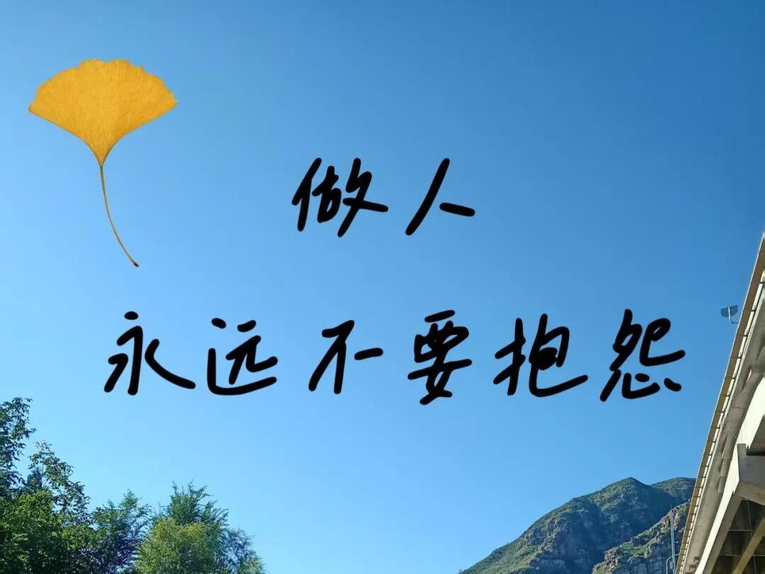 如何从容面对人生中的不如意?松开拳头，不如意就有了形状

你是否也曾如此——在某