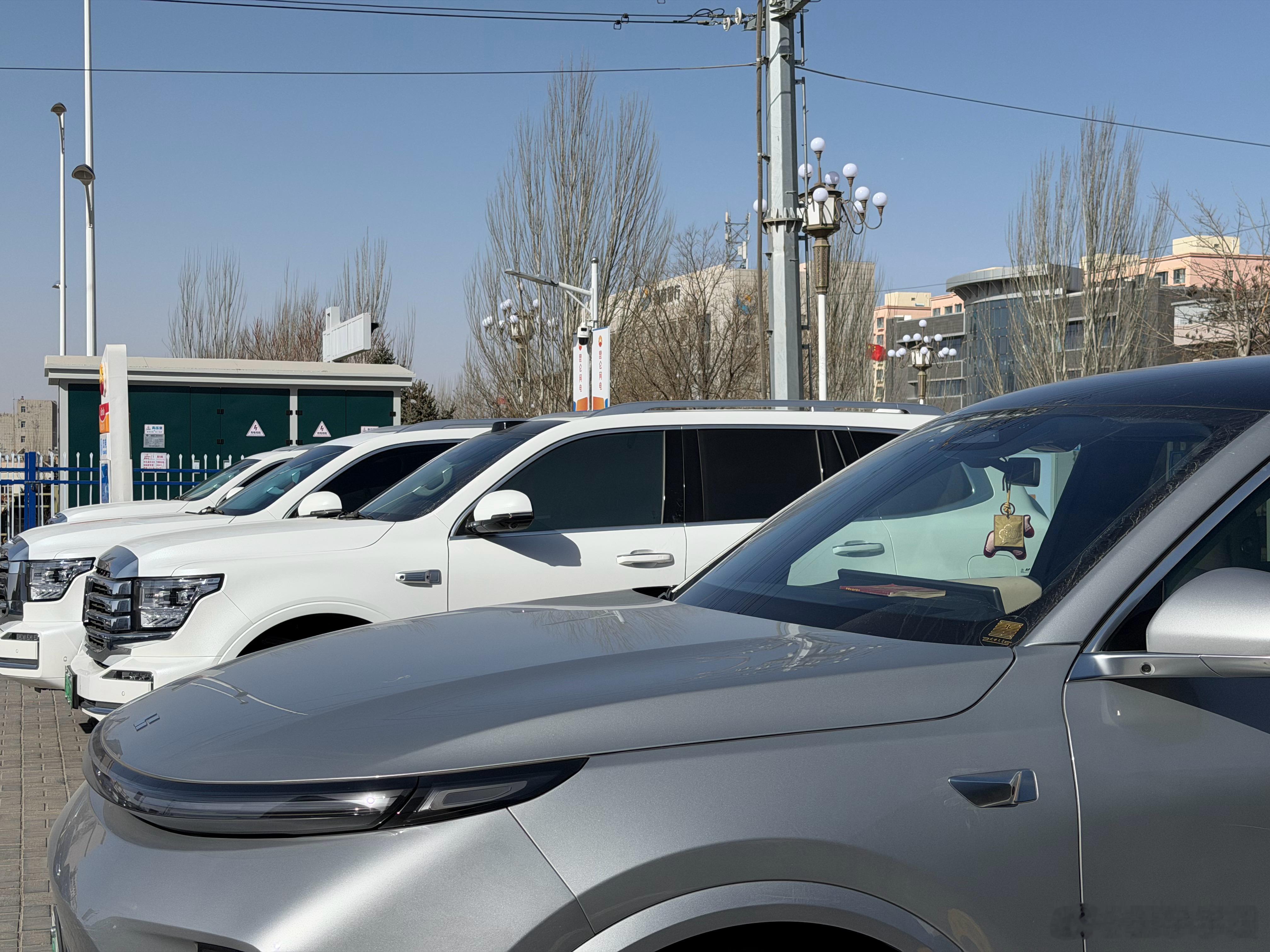 到充电站吓我一跳这是车友约着一起来的？观察了一下一台本地车，一台陕A一台宁A三台