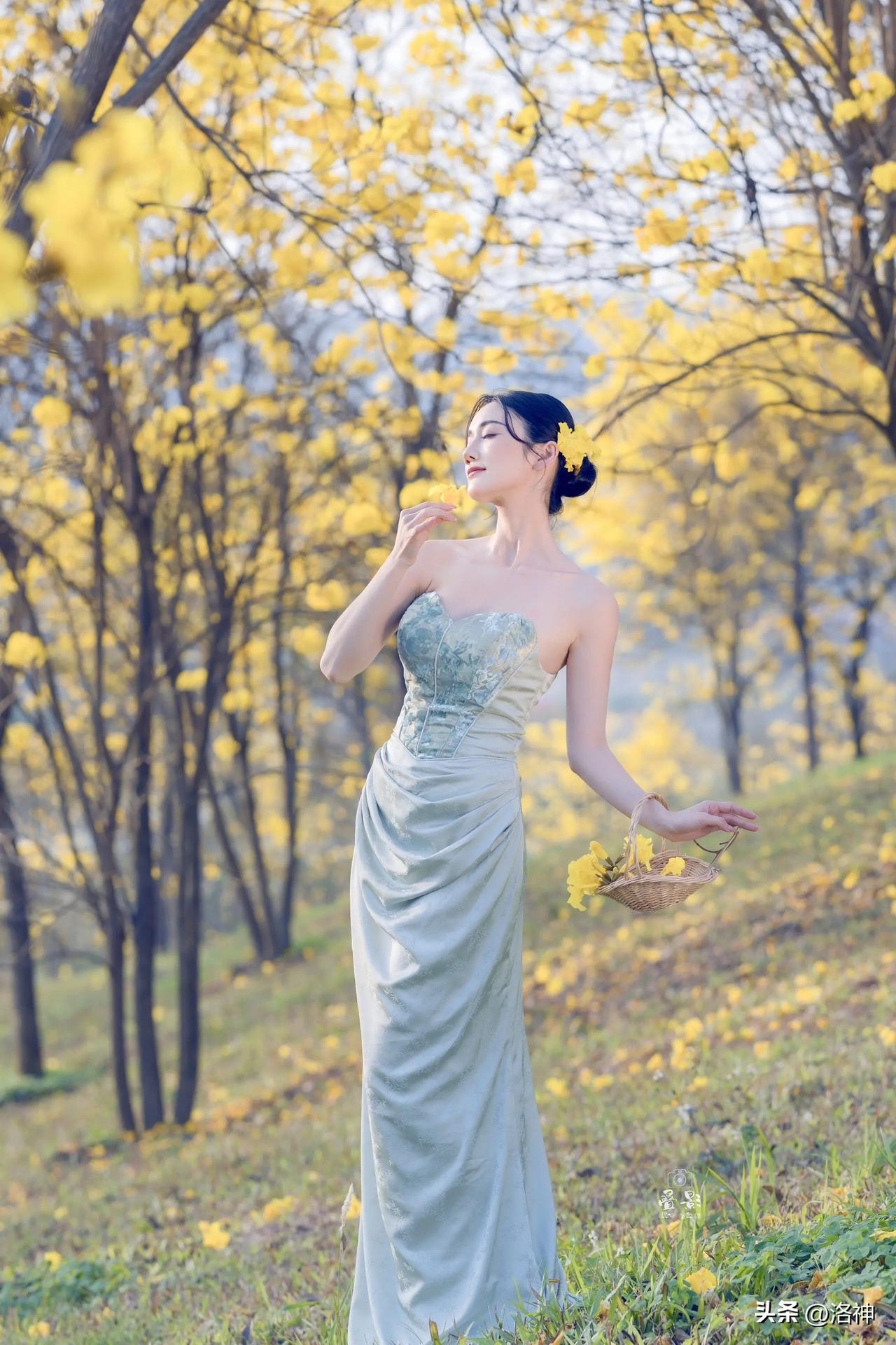 青秀山的金铃，
摇醒了整个南宁的春天。

什么是内心的安全感 如果暴富了，是不是