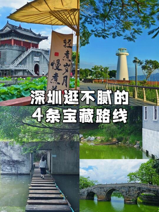 深圳逛不腻的几条宝藏路线🍃