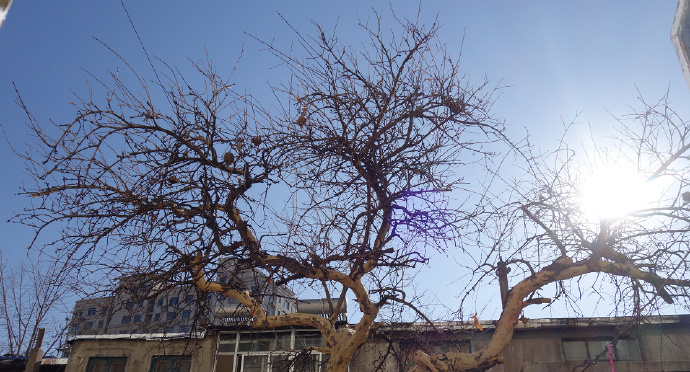 【#阳气不足多晒晒太阳#】#不同季节晒太阳时段不同# 晒太阳不但有助于钙的吸收，