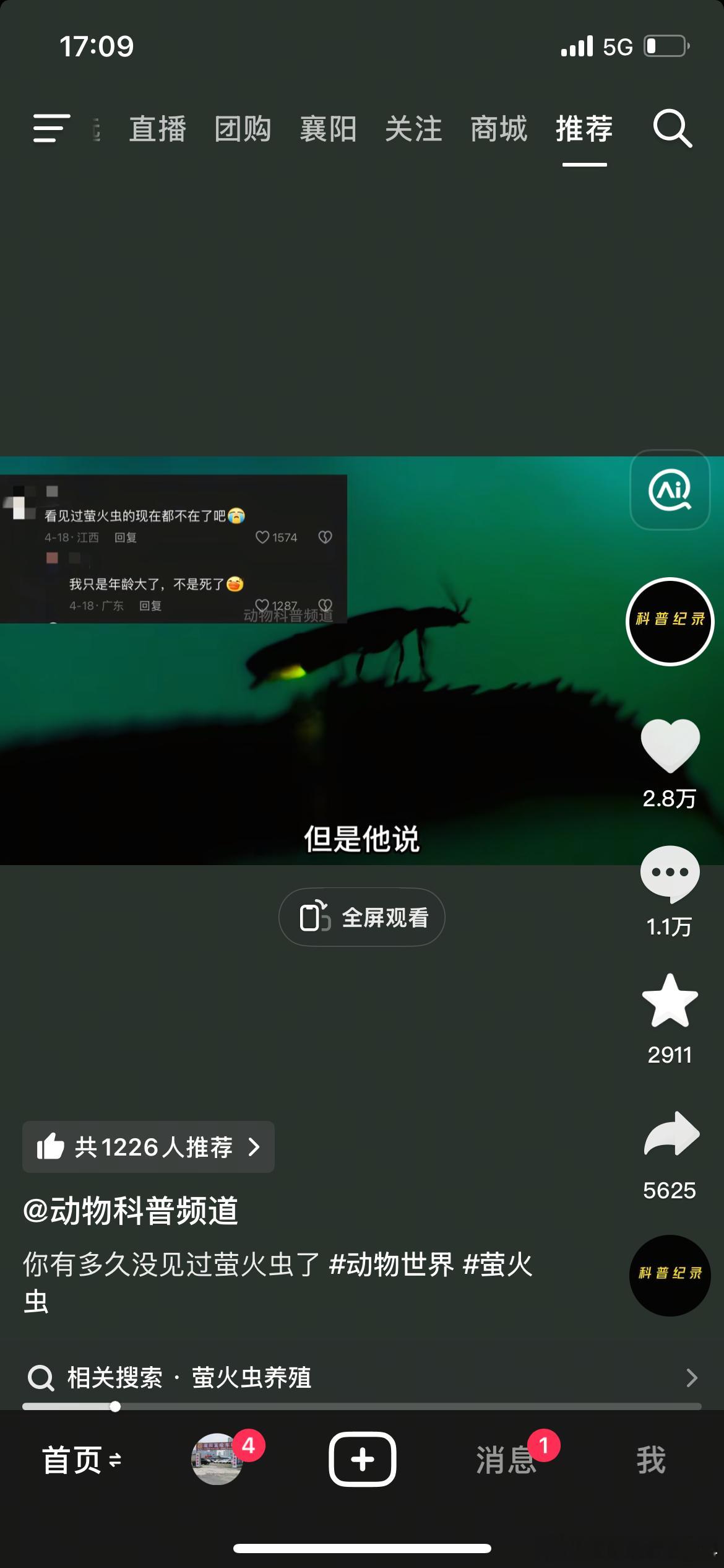 突然刷到这个说萤火虫濒临灭绝了想想确实是很久没见过了[心][心]  ​​​