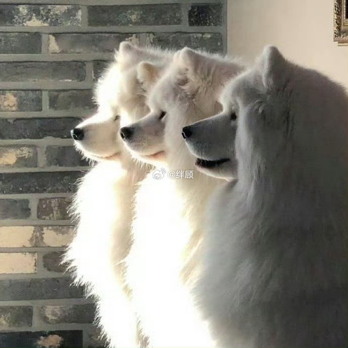 五天内，你期待的三件事全部实现！ 