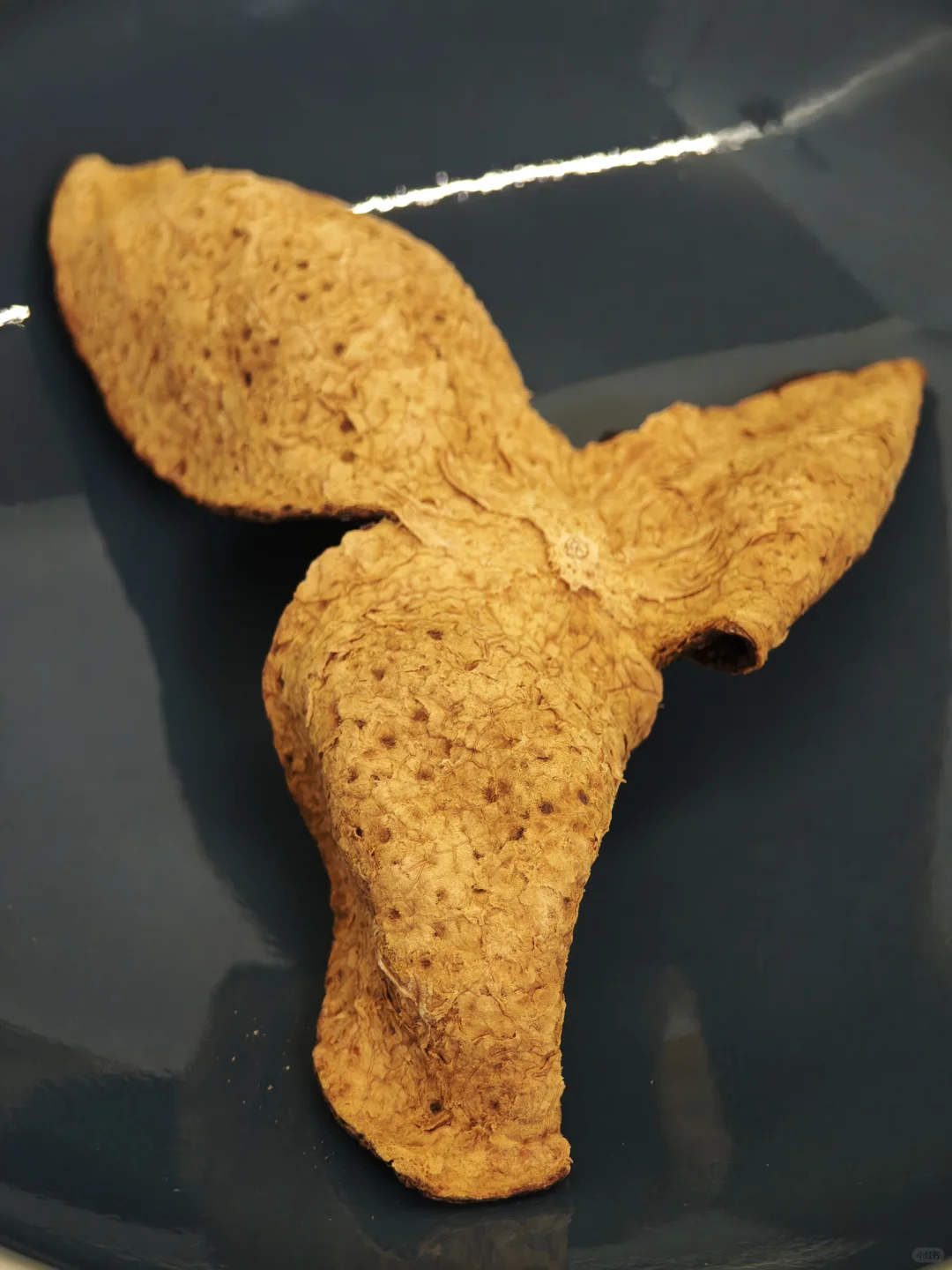 感冒上火咳咳咳，来片陈皮消消火