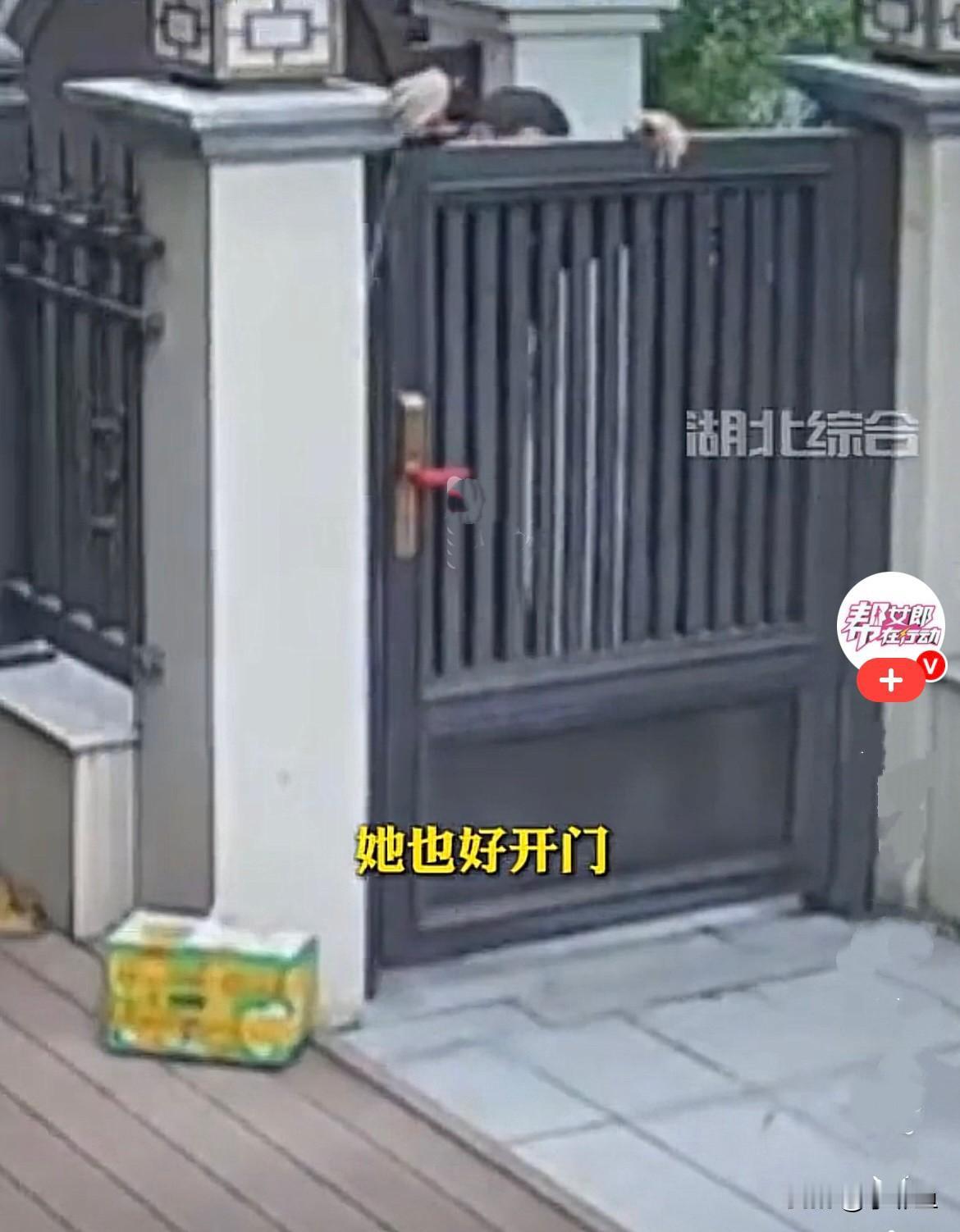 近日，天津女子的朋友给她寄来了一箱柚子，快递到了，快递小哥给她打电话的时候她没在