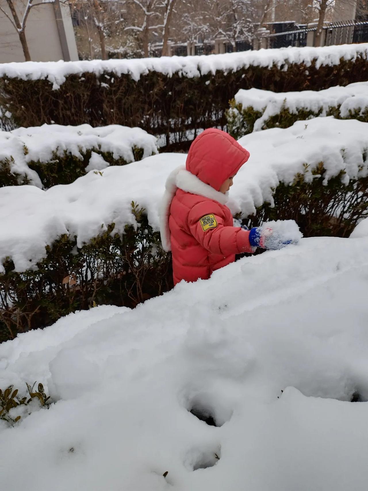 西江月   大雪
文/李耀海
处处银装素裹，
皑皑白雪茫茫。
梅梢傲雪欲芬芳，