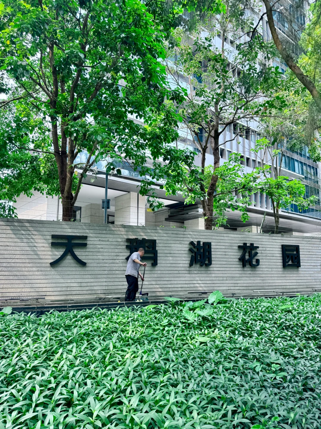 挑战全网最全！天鹅湖花园二期端户介绍💎