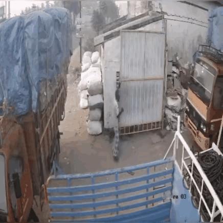 你们看懂了吗？
我没看懂。