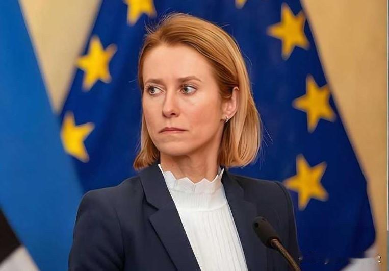 欧洲哪来的自信！
敢拿冻结资产威胁俄做出让步！
欧洲冻结着2500亿美元的俄资产