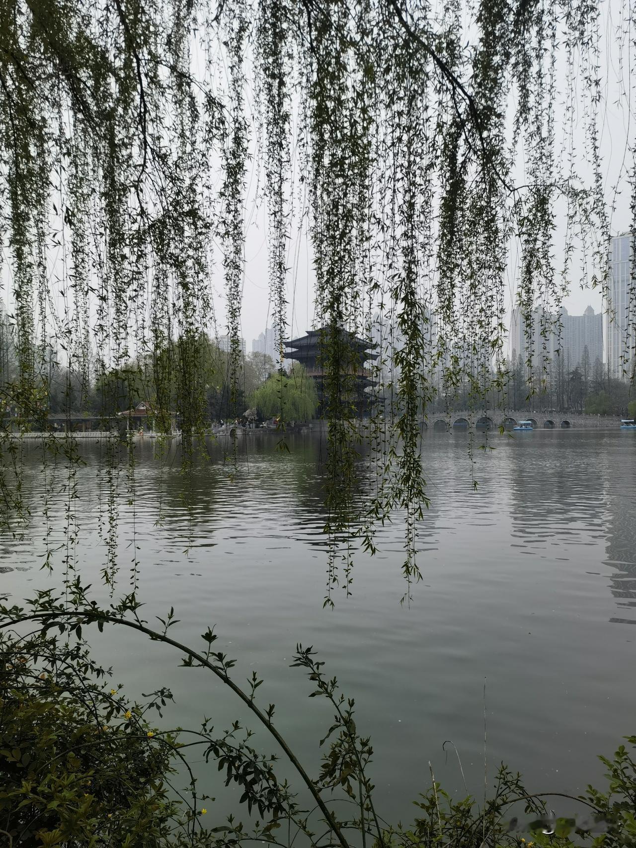 偶然兴起，趁着傍晚的闲暇，我赶往逍遥津公园探春。
虽然之前来过多次，却都是陪同家