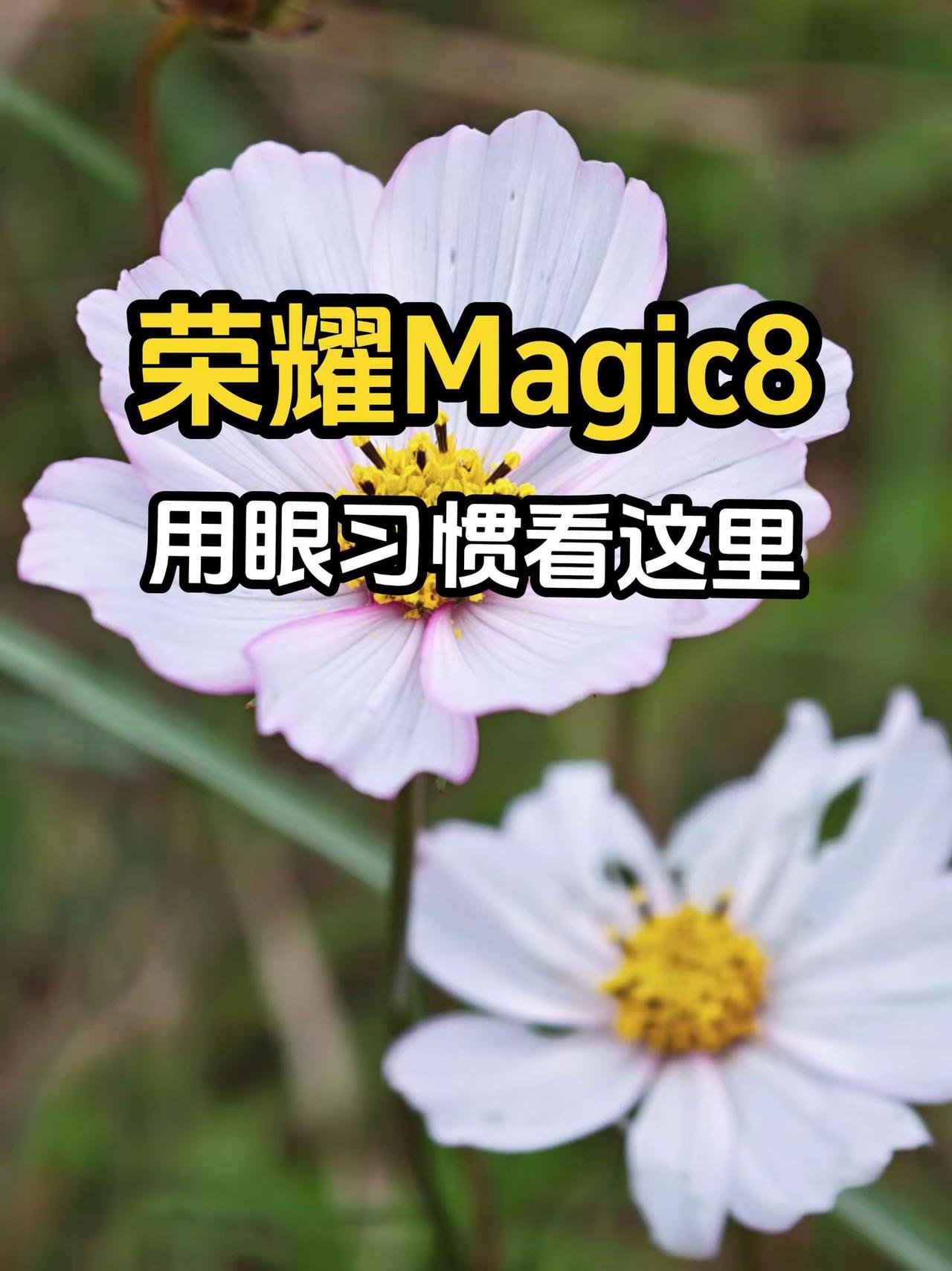 看了护眼统计，才知道自己用眼习惯多不好。要不是荣耀Magic8 Pro护眼统计，