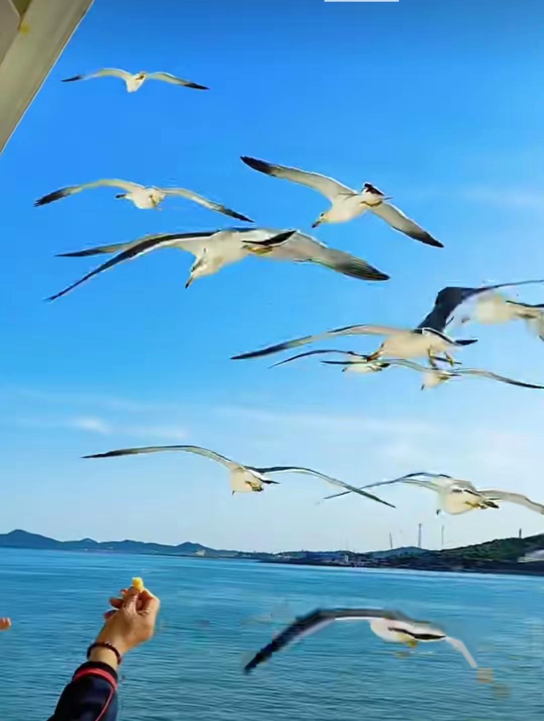 在今日头条上发布文章，您可以按照以下步骤进行操作：

1. 注册并登录今日头条账