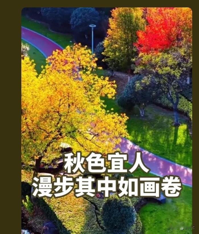 实力为翼，自引同频
 
真正强大的人，从不在取悦攀附他人上耗费心力。所谓圈子与资
