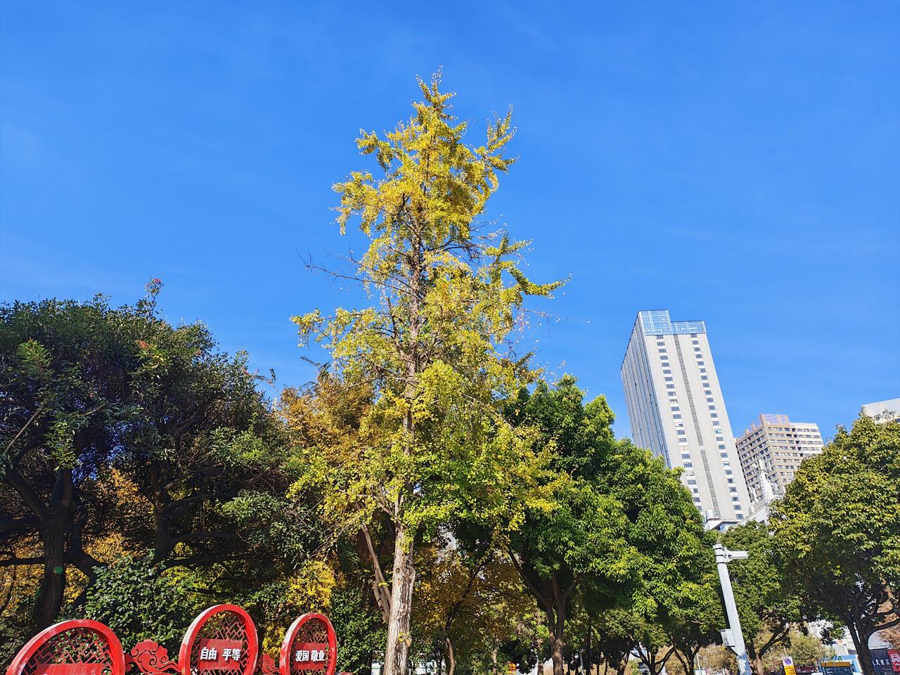 虽然我不吃狗肉，但我从不排斥别人吃狗肉！
虽然我不抽烟，但我从不排斥女人抽烟！