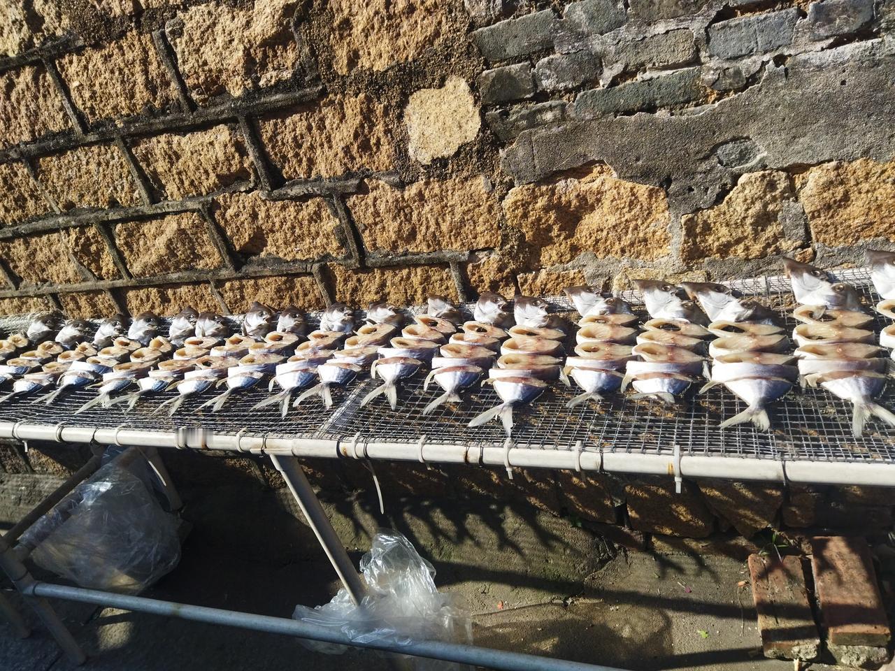 记录我的2026一群鱼干