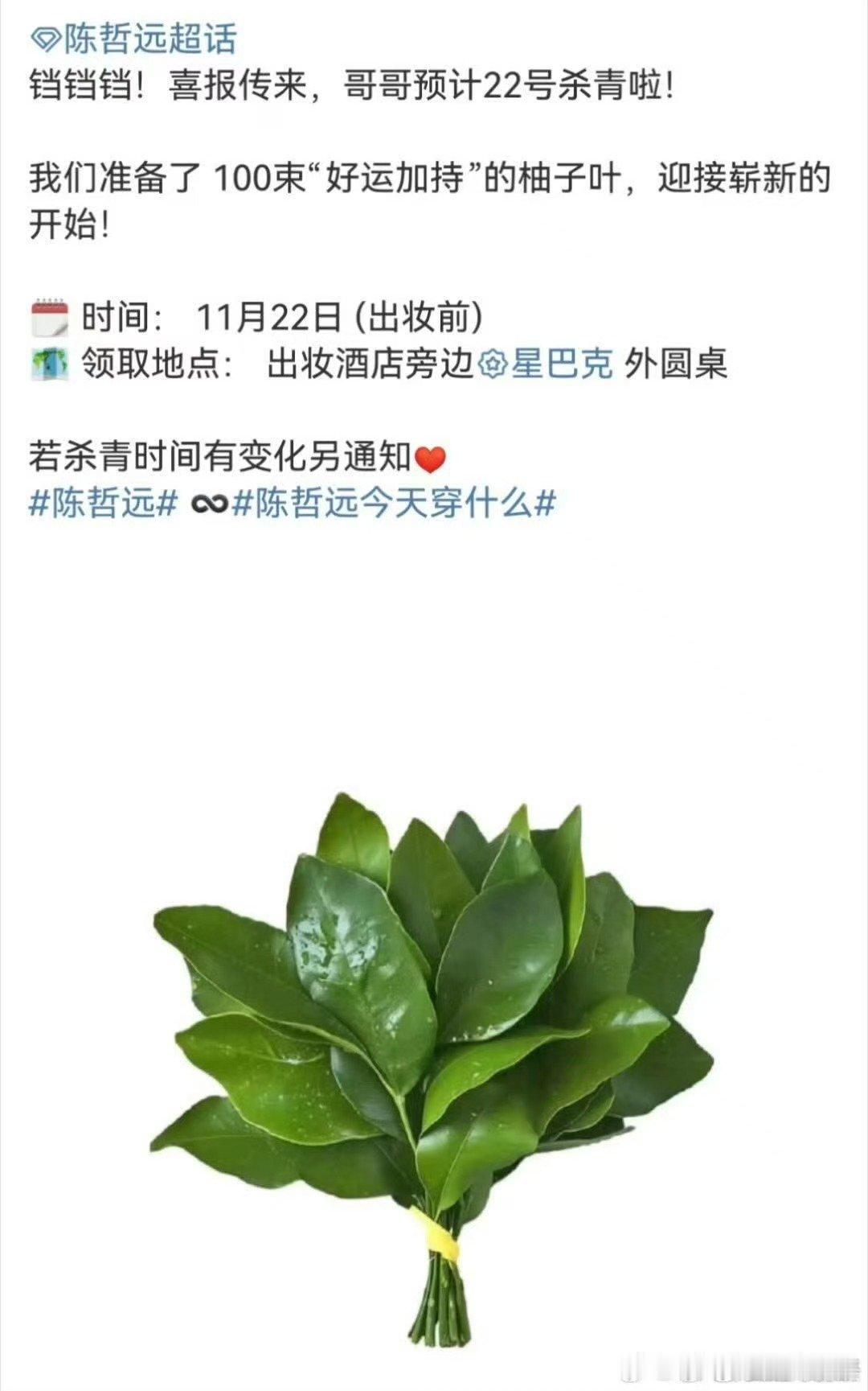 陈哲远江山为聘杀青应援，哈哈，