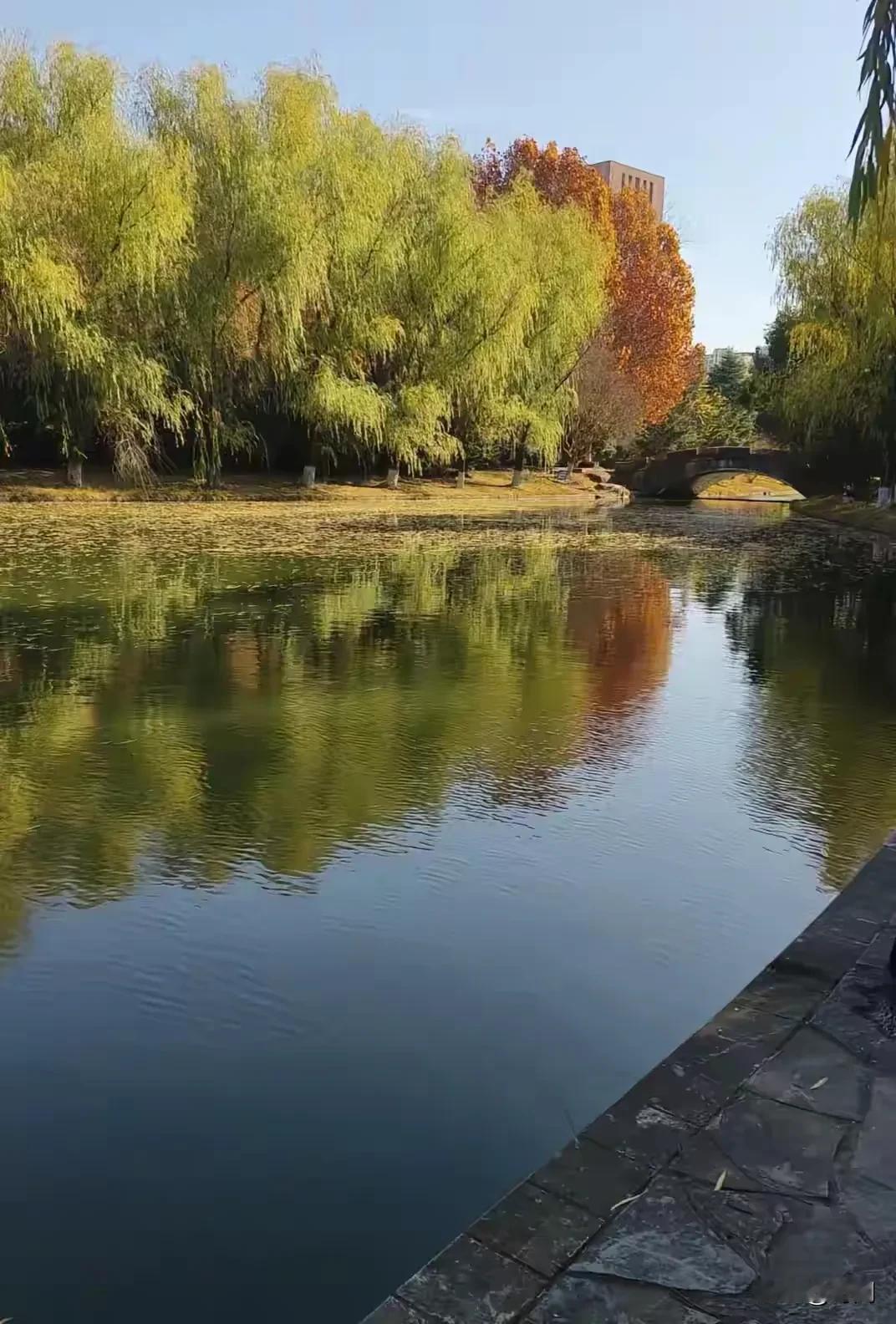 大一女生在校内落水溺亡，数小时后才被发现，有网友质疑这么深的湖水为何没有护栏？事