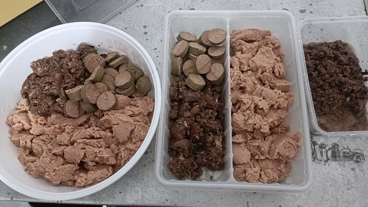 连下了几天雨，垃圾站没有遮雨的投喂点，无法放猫粮，我只能奢侈的用肉罐头和肉肠投喂