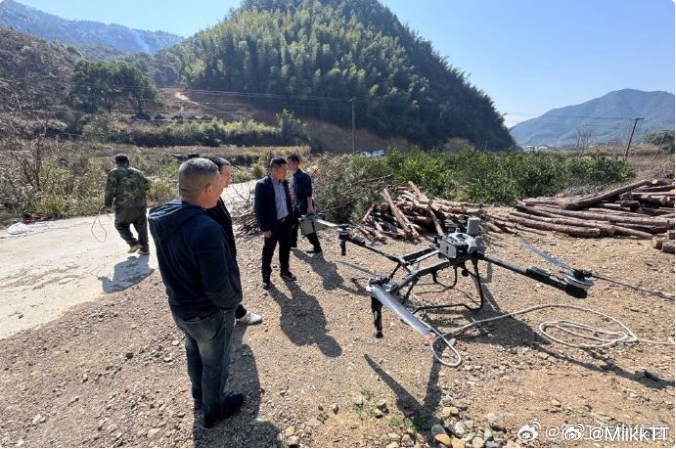 浙江衢州百日攻坚筑牢森林生态防线 山林无言，守护有声。衢江以科技赋能松材线虫病防