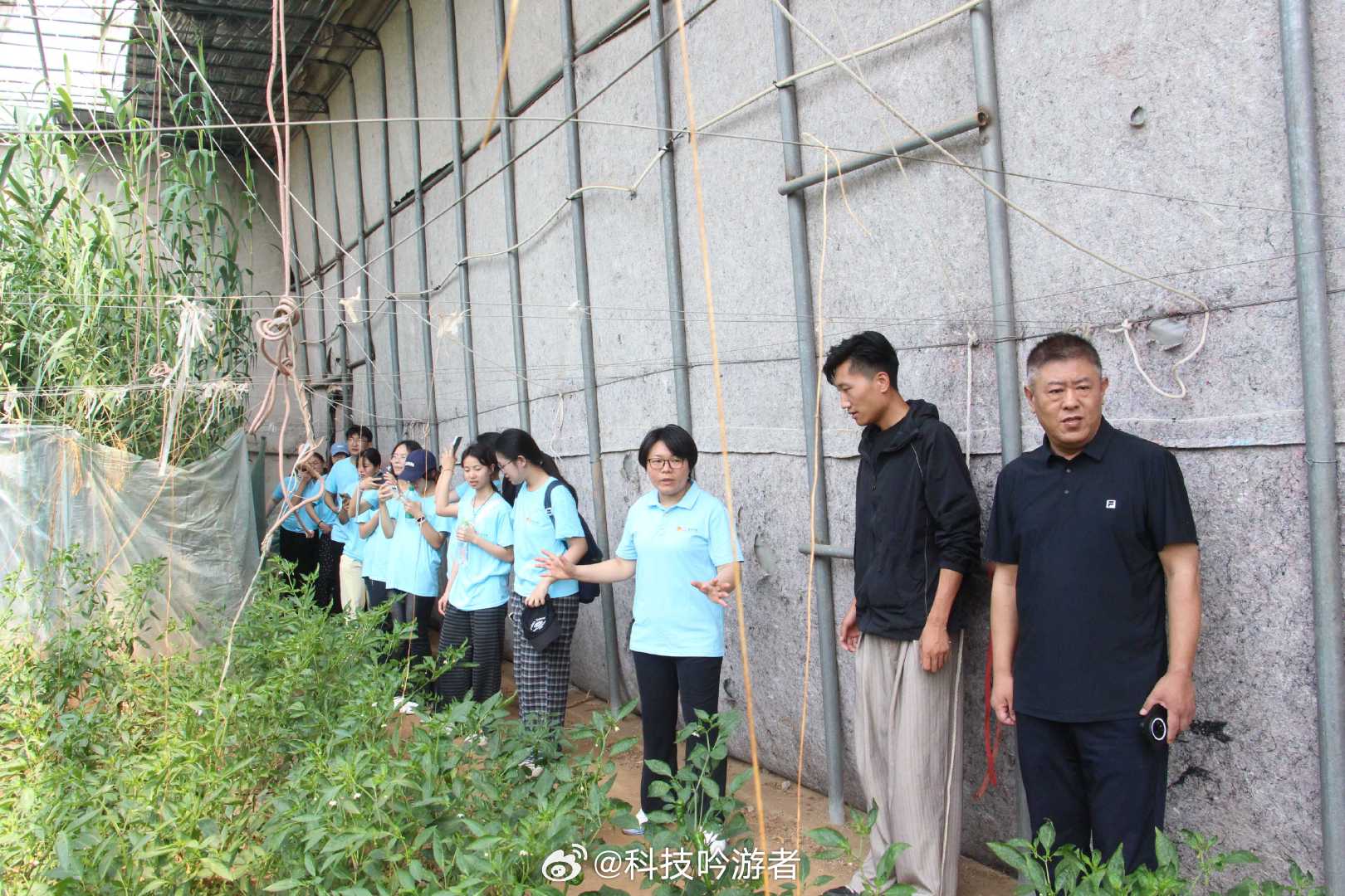 山东学子AI下乡赋能智慧农业枣院学子开展暑期社会实践 【探访智能温室，感受科技务