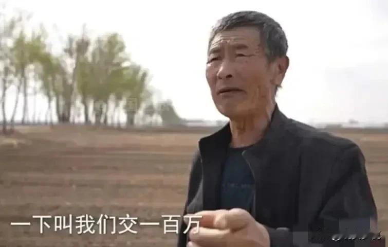 破案了！原来网友们都被租地的张先生骗了，看着是一个恪守本分的老百姓，结果这个老农