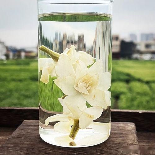“香雪”中医两层含义：香雪兰（原生药材）、香雪制药系列中成药一、原生药材：香雪兰