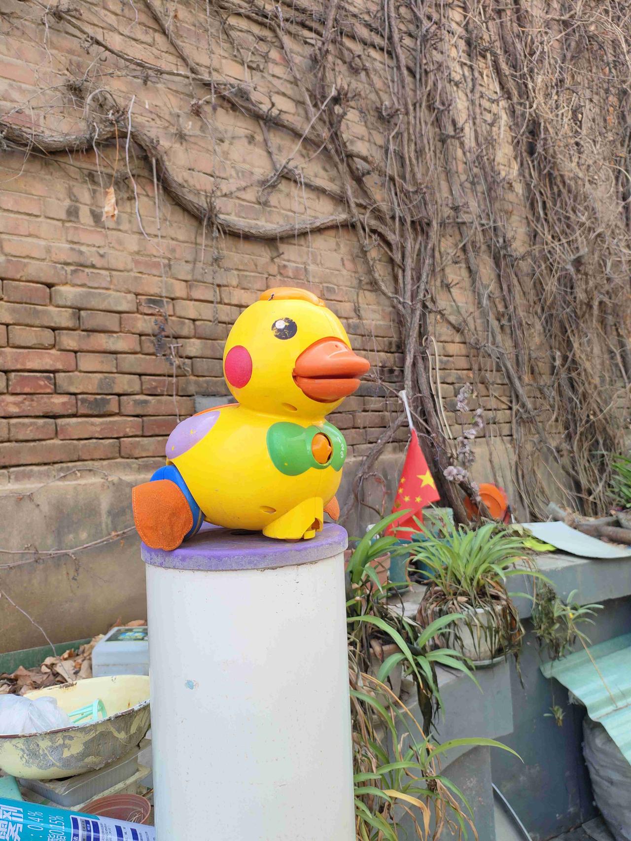 我的今日状态：😁轻松愉快
我这里的天气：☀️晴天