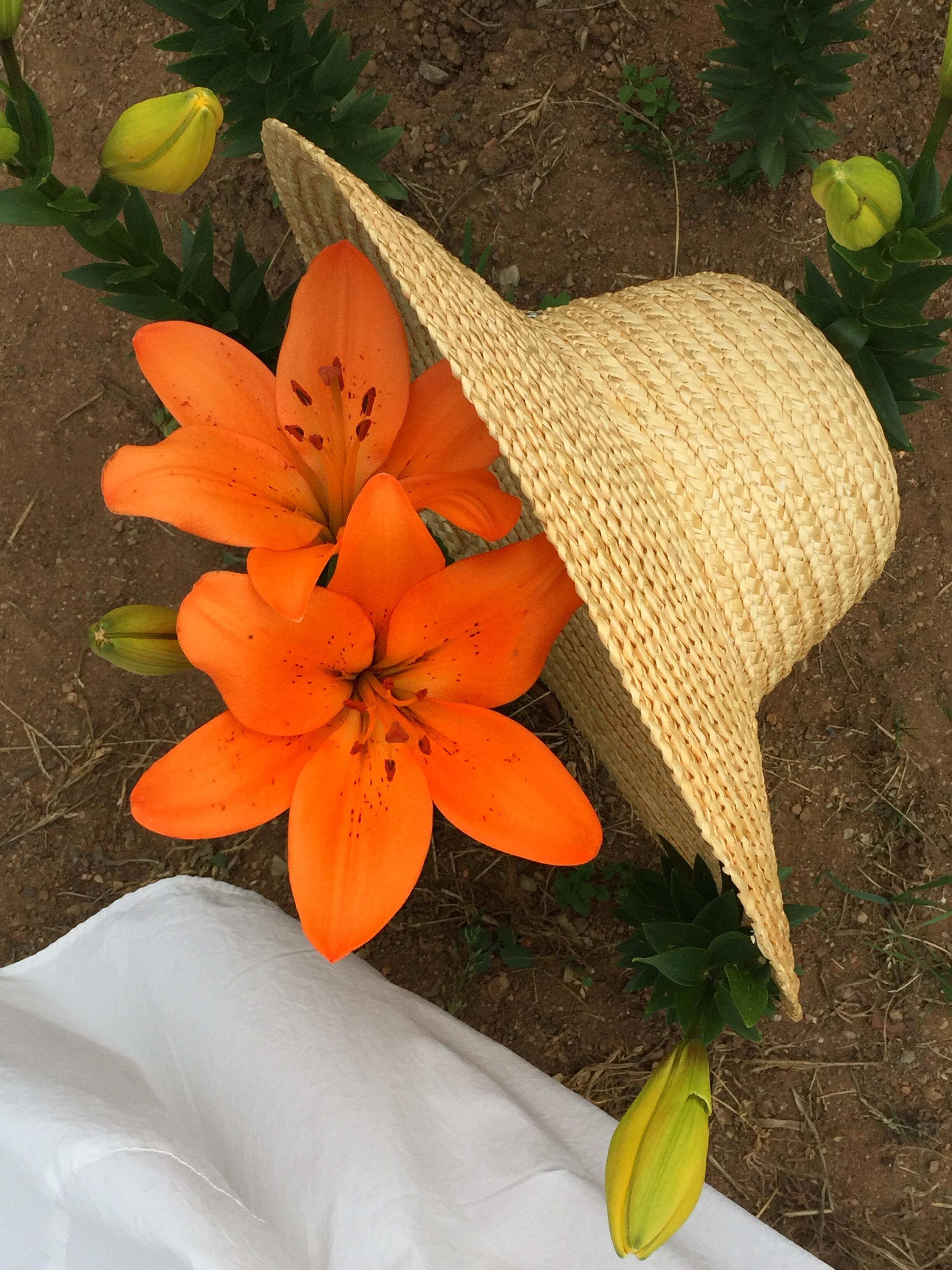 Flower🧡 ​​​