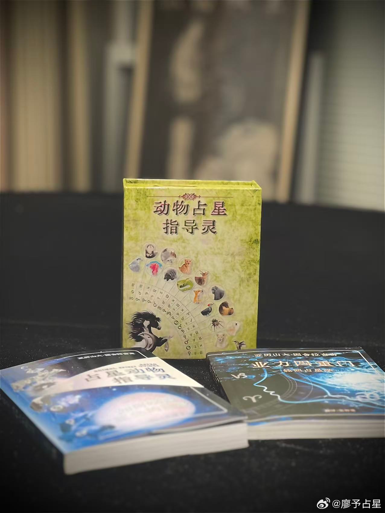 我只是想让你记住。我们生活在一个章鱼会做梦的世界，水獭有一块它们终生携带的最喜欢