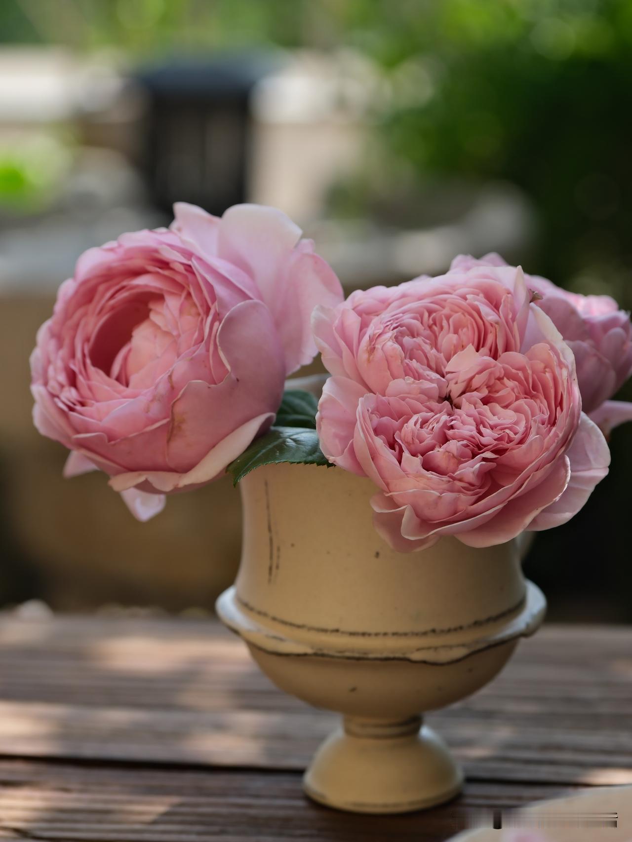 今年的自由精神是复活，
它度过了炽热的偏爱的劫。
那时啊，我那么热情，
那么爱它