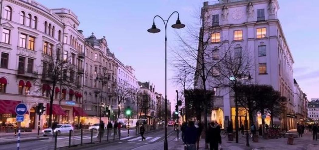 果不其然
 
瑞典公共卫生局突然公布了冬季抑郁在移民群体中的相关统计，引发不小讨