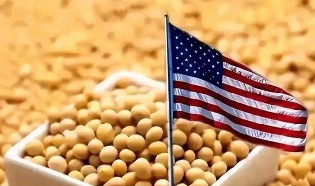 美国大豆为什么非要卖给中国？其实，站在美国的角度，三年不卖给中国大豆，表面上只是