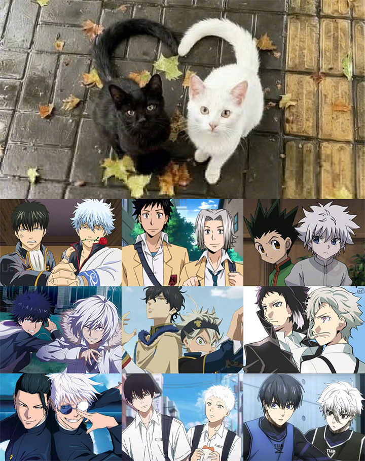 黑白配就是二次元最美好的存在