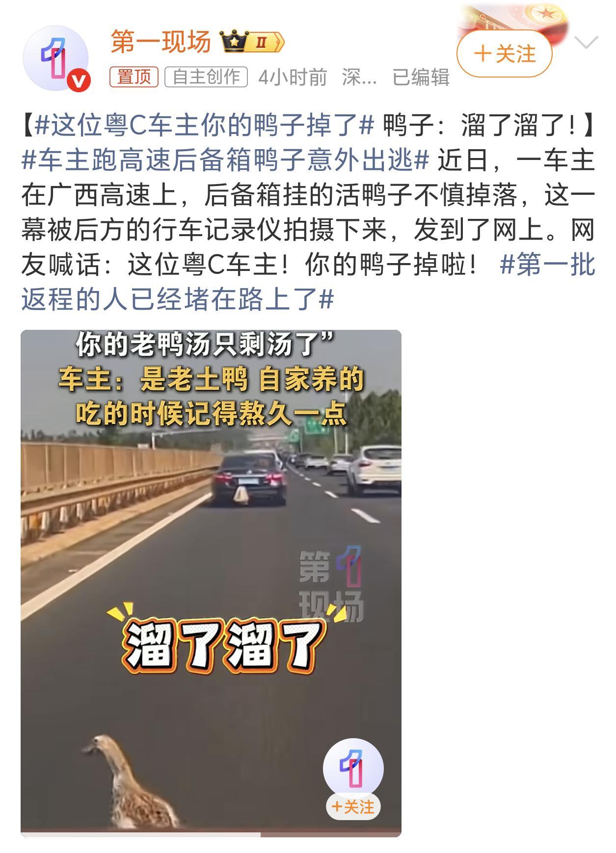 这位粤C车主你的鸭子掉了这种“带货”方法感觉也不太可取啊，尤其是在高速路上，鸭子