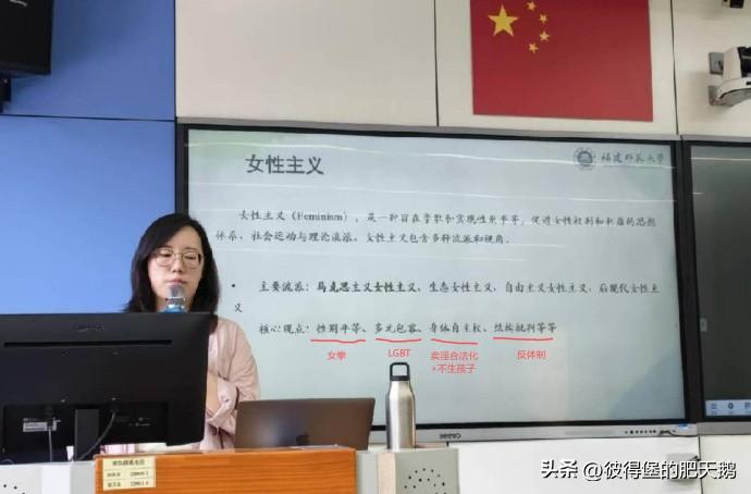 国内极端女拳已经向上渗透到司法乃至公务员系统，向下渗透到企业的运营、研发、策划、
