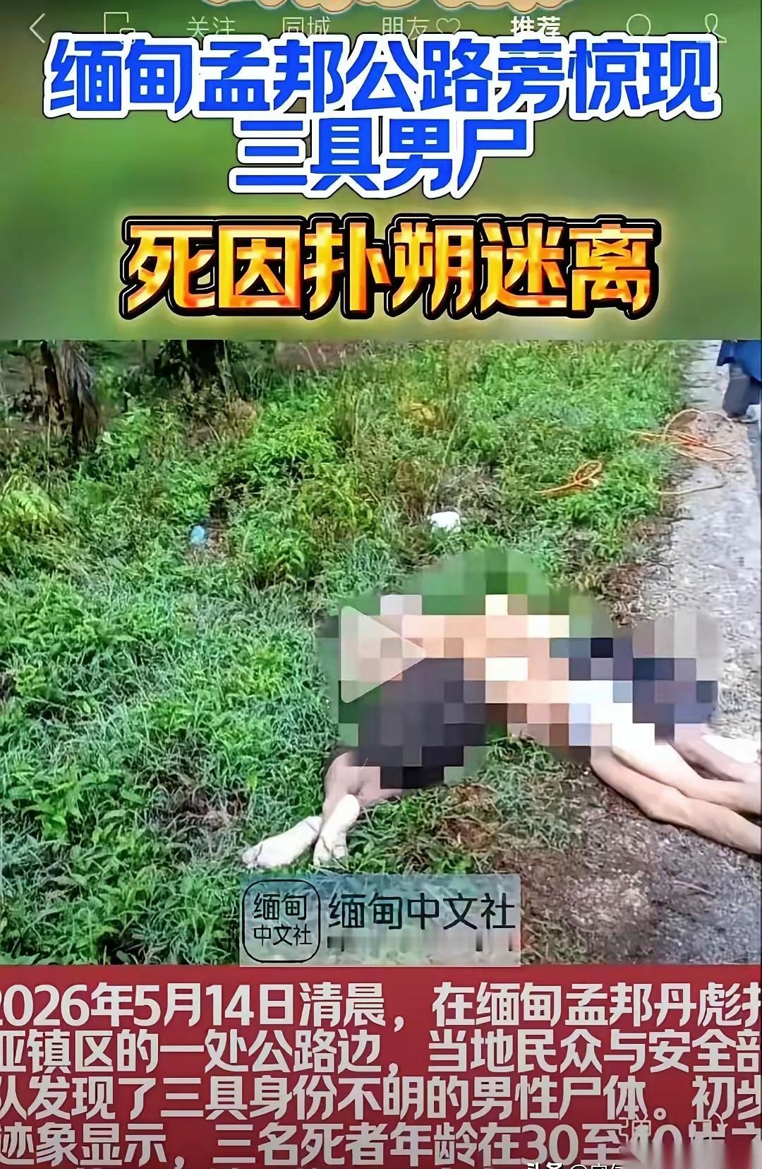 缅甸，清晨六点半，雾气还没散。
橡胶林旁边的公路上，扔着三具尸体，都是中国人。