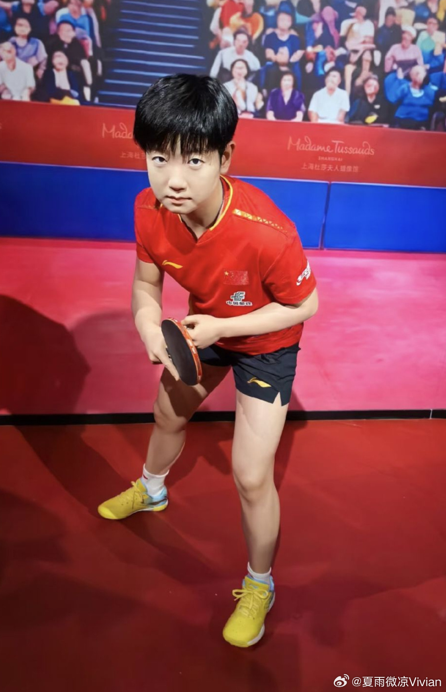 孙颖莎成杜莎首位永久馆藏现役选手，莎莎一路拼搏走来，吃过苦、扛过压力，凭着一股韧