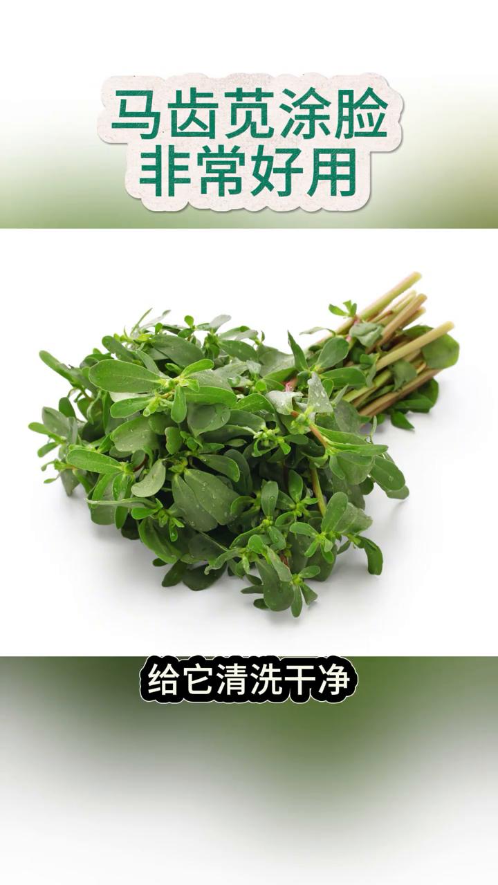 马齿苋涂脸非常好用。
一定要用马齿苋去擦脸，再牛的护肤品都不如农村的马齿苋。马齿