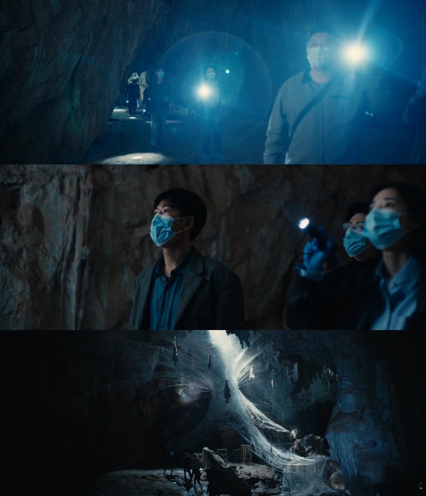 剥茧烧脑又好看 人茧案直接把视觉冲击拉满好吗！凶手模仿漏斗蛛的捕食习性作案，不仅