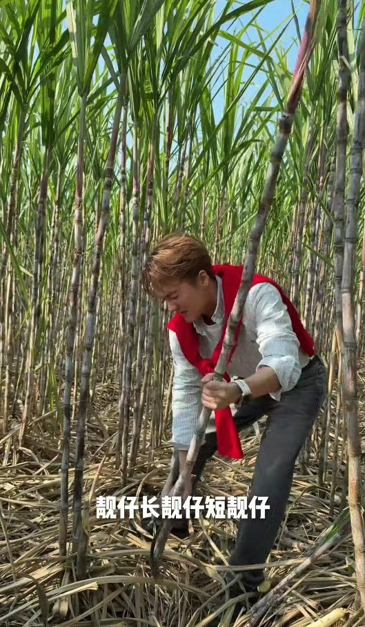 吴克群手写奖状被印上奶茶小票用笔墨致敬每一位辛勤耕耘的农人，以行动助力优质农产走