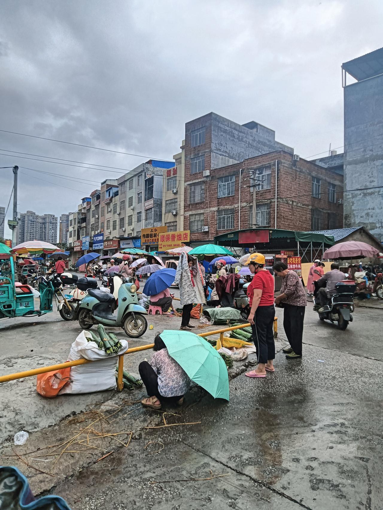 端午节将至龙舟水来一波又一波，昨晚倾盘大雨下了一宿。今早到贵港市龙圣市场买菜，所