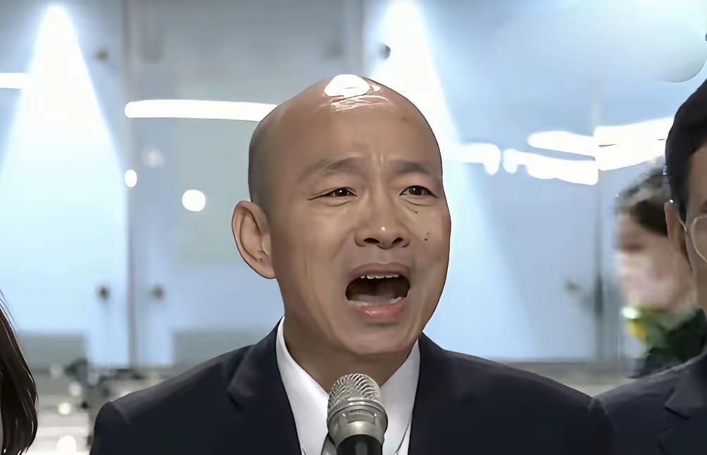 此人才是真正的暗独，把整个大陆观众蒙蔽的一愣一愣的，曾经认为他当选台湾地区领导人