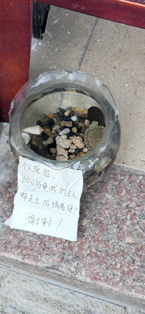 还有遗弃乌龟的….？ 